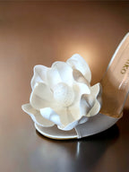 Magnolia Terlik